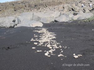 Viaje en moto a Islandia