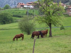 Viaje en moto a Cantabria