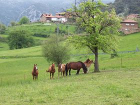 Viaje en moto a Cantabria