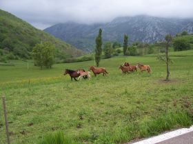 Viaje en moto a Cantabria