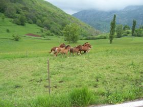 Viaje en moto a Cantabria