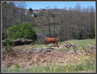 Viaje en moto a Gredos