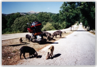 Viaje en moto a Corcega